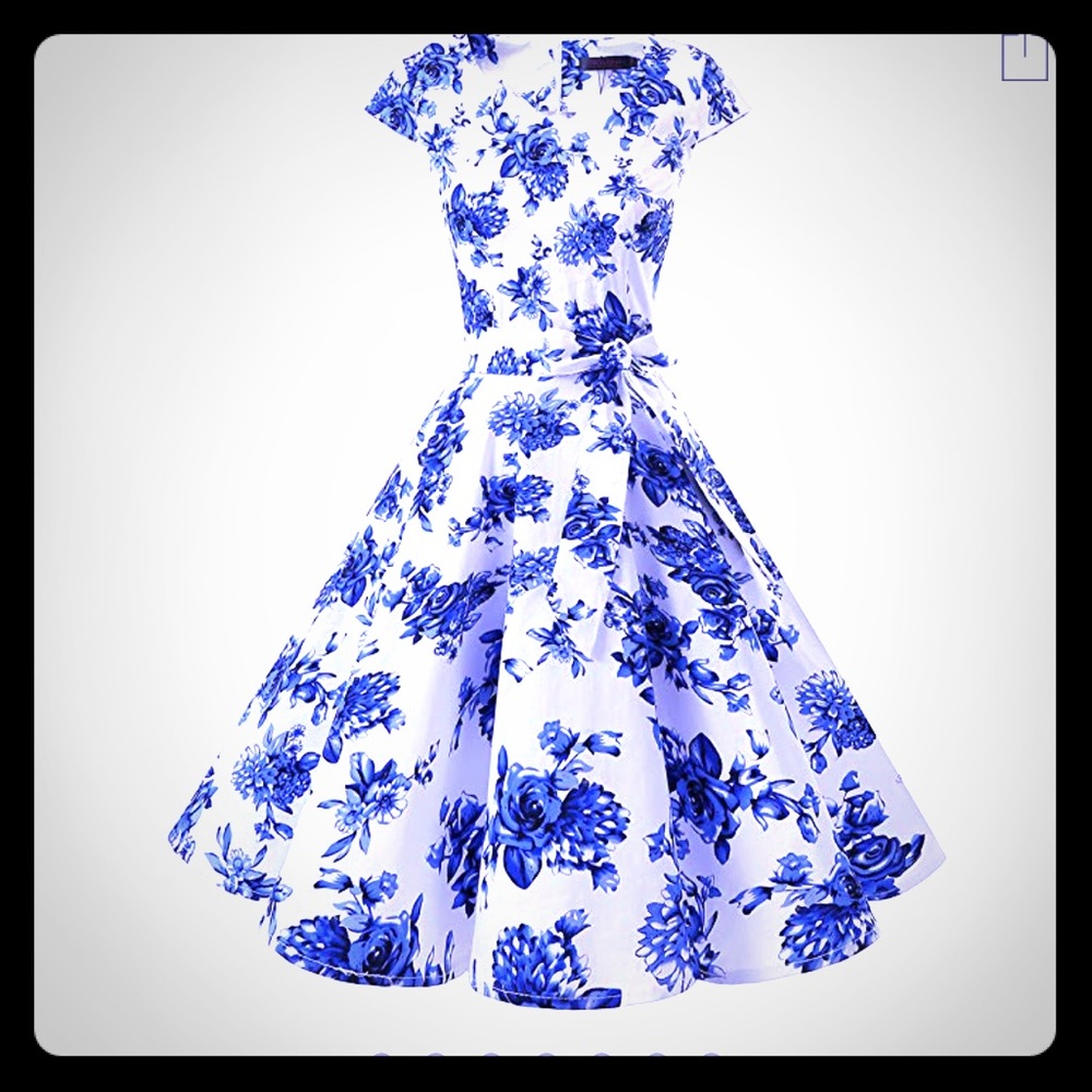 1950s vintage style swing dress.